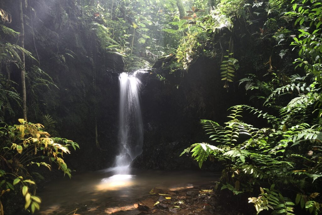 Cascade commune de Mataiea