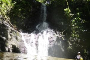 Cascade commune de Afaahiti 13