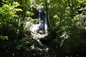 Cascade commune de Afaahiti 12